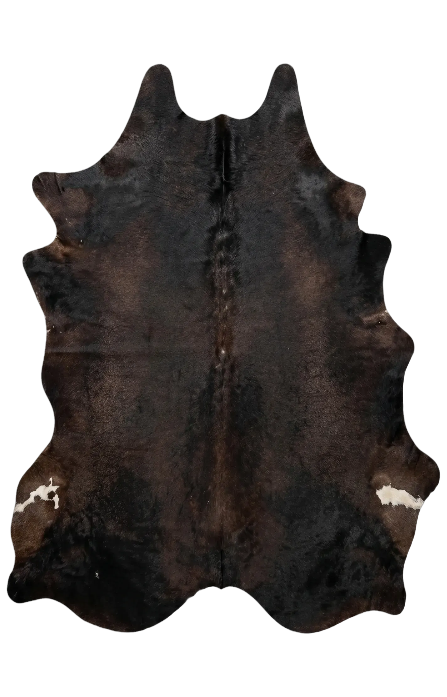 Lauren Browns Cowhide Rug 7'10" L X 6'5" W