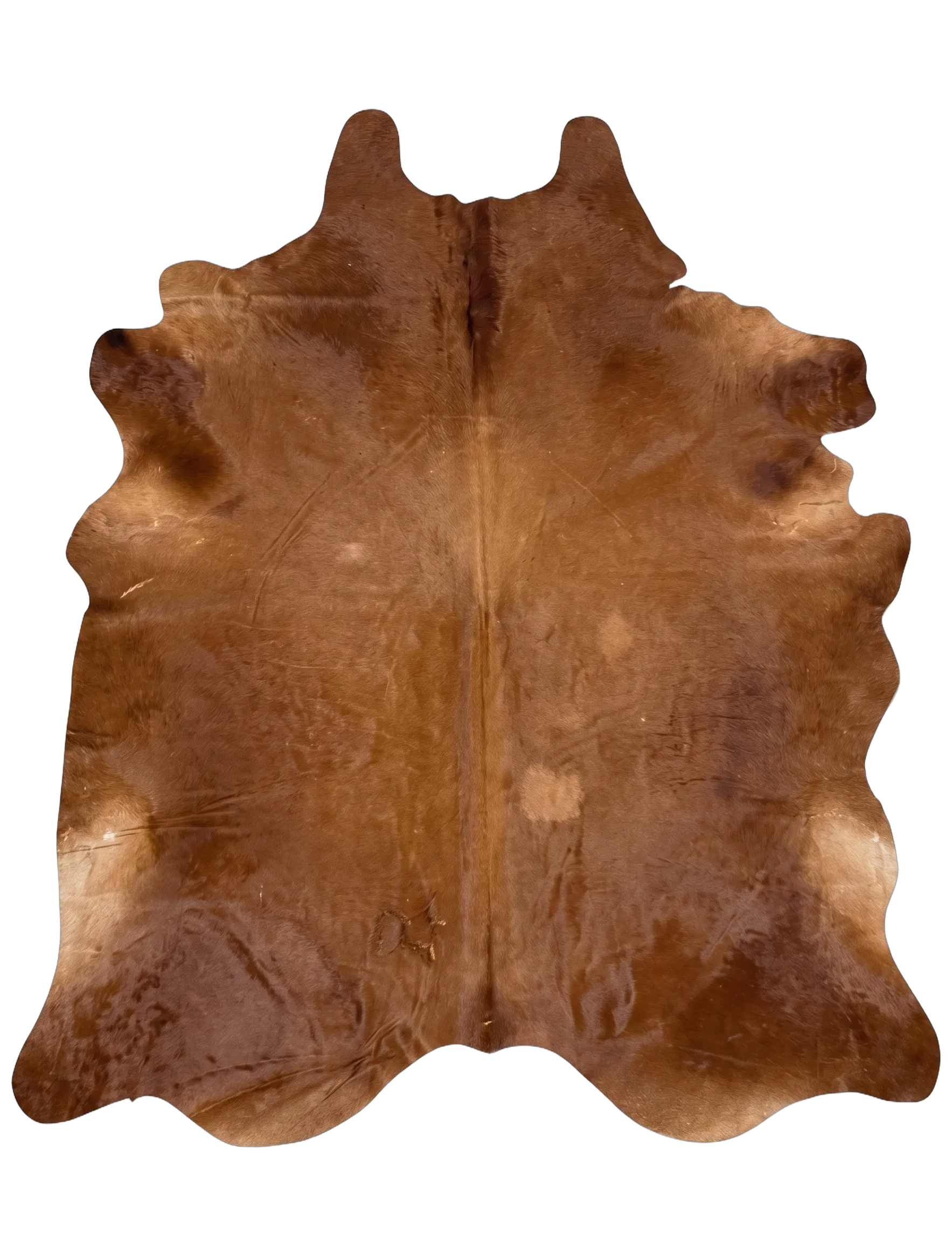 Lauren Browns Cowhide Rug 8'8" L X 6'10" W